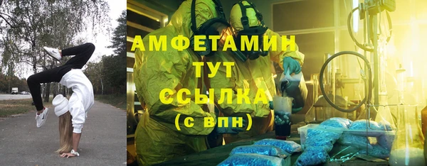 твердый Вязьма