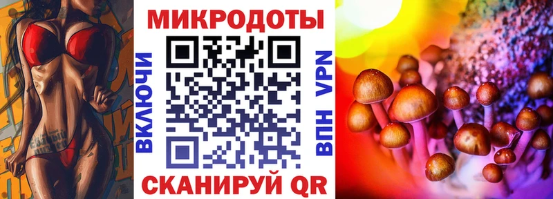 Купить  Нерчинск  Псилоцибиновые грибы MAGIC MUSHROOMS 